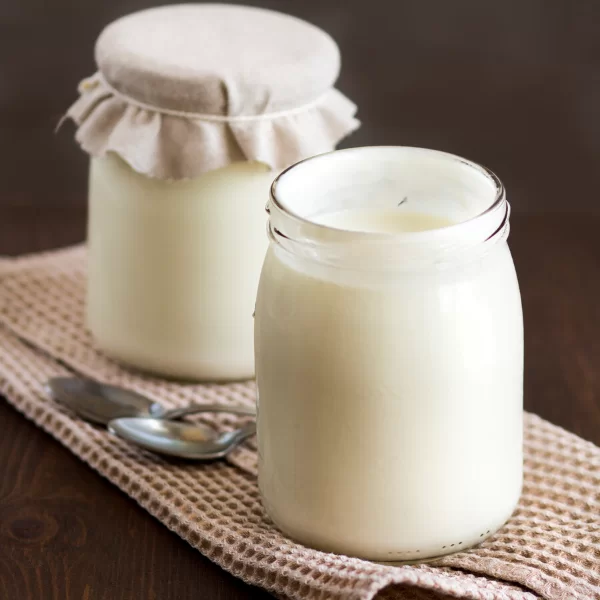 Yaourt à la rhubarbe 500ml (75gr de compote de fruits + yaourt nature sans sucre ajouté)