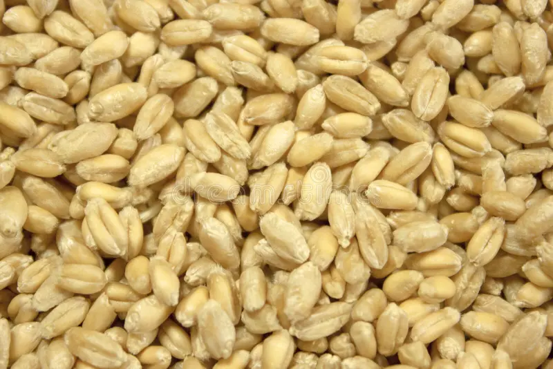 Sac de 1kg de farine BIO 60% froment de la Ferme du Gala à Glabais (2,5€/kg) 