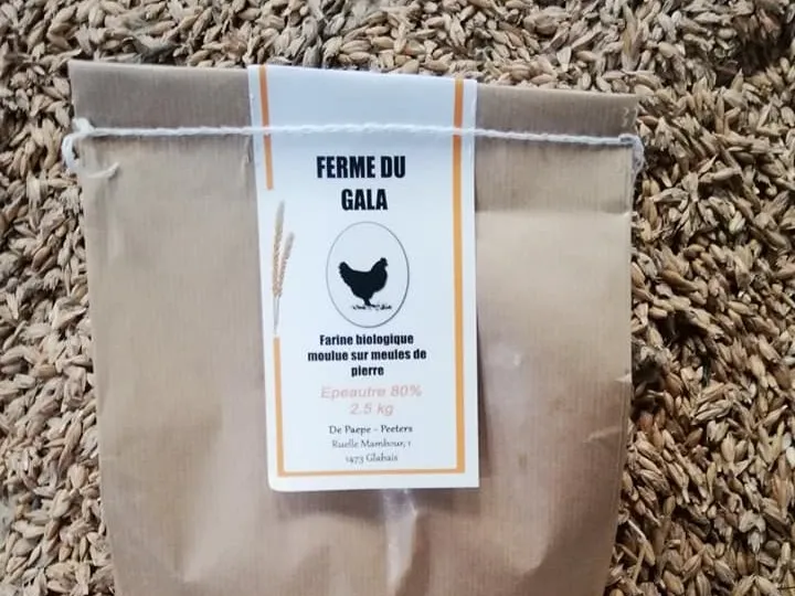 Sac de 2,5kg de farine BIO 60% froment de la Ferme du Gala à Glabais (2,875€/kg)