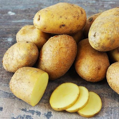 Sac de 2,5kg à 2,1€/kg de patates TENTATION BIO chair ferme