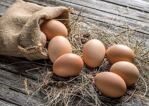 Mini abonnement œufs frais BIO élevés en plein air sur Glabais (Ferme de la Gala), par minimum 6 œufs à 0,4€ par œuf toutes les semaines jusqu'à fin juin sur 7 semaines)