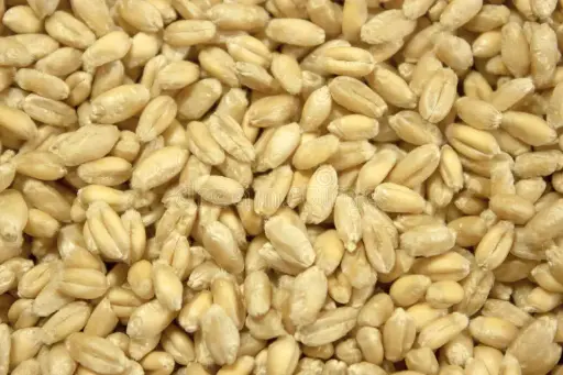 Sac de 1kg de farine BIO 100% froment de la Ferme du Gala à Glabais (2€/kg) 